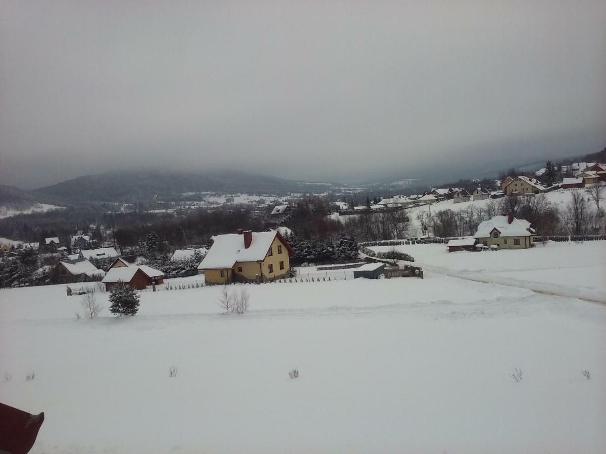 Pokoje Panorama Wysowa-Zdrój Exteriör bild